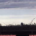 18_30-mast.jpg