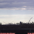 18_35-mast.jpg