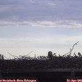 18_40-mast.jpg