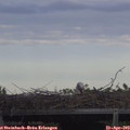 18_45-mast.jpg