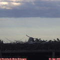 19_20-mast.jpg