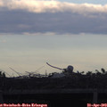 19_25-mast.jpg