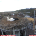 19_25-nest.jpg