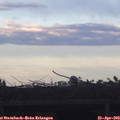 19_35-mast.jpg
