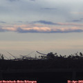19_40-mast.jpg