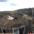 19_40-nest.jpg