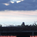 20_05-mast.jpg