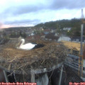 20_10-nest.jpg