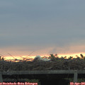 06_20-mast.jpg