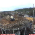 06_20-nest.jpg