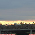06_25-mast.jpg