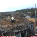 06_25-nest.jpg