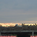 06_30-mast.jpg