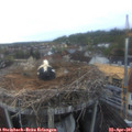 06_30-nest.jpg