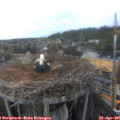 06_35-nest.jpg