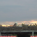 06_40-mast.jpg