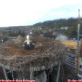 06_40-nest.jpg