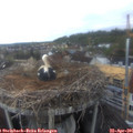 06_45-nest.jpg
