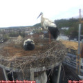06_55-nest.jpg