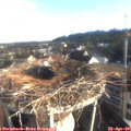 07_40-nest.jpg