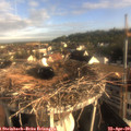 07_45-nest.jpg