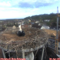 08_00-nest.jpg