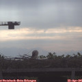 08_05-mast.jpg