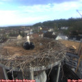 08_05-nest.jpg