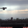 08_10-mast.jpg