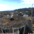 08_10-nest.jpg