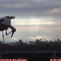08_15-mast.jpg