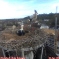 08_15-nest.jpg