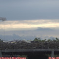 08_45-mast.jpg
