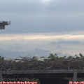 08_50-mast.jpg