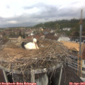 11_15-nest.jpg