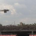 11_30-mast.jpg