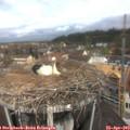 11_35-nest.jpg