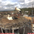 12_10-nest.jpg