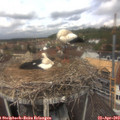 12_15-nest.jpg