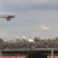 13_20-mast.jpg