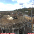 14_30-nest.jpg