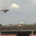 14_35-mast.jpg