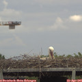 14_45-mast.jpg