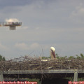 15_10-mast.jpg