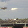 15_25-mast.jpg