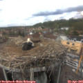15_30-nest.jpg