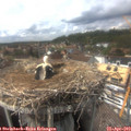 15_40-nest.jpg