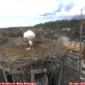 16_35-nest.jpg