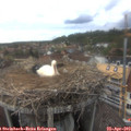 16_40-nest.jpg