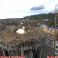 16_45-nest.jpg